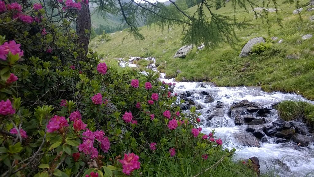 Albergo Eden Passo del Tonale Eksteriør bilde